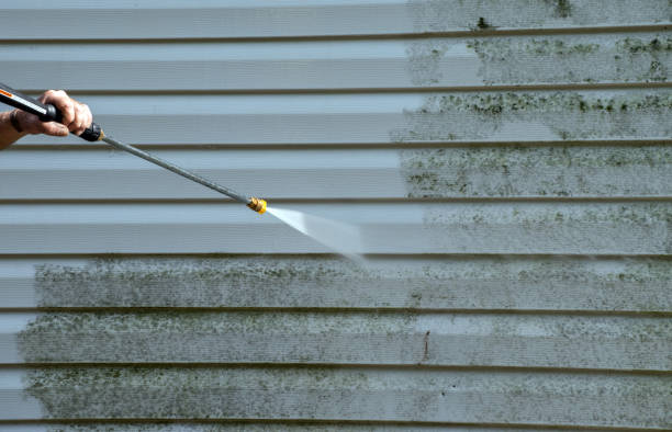 Best House Exterior Washing  in Blue Earth, MN